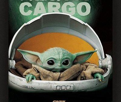 STAR WARS  - PRECIOUS CARGO  -  3D POSTER 26X20CM Online