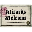 HARRY POTTER - PLAQUE METAL 21 X 15 - WIZARDS WELOME Hot on Sale